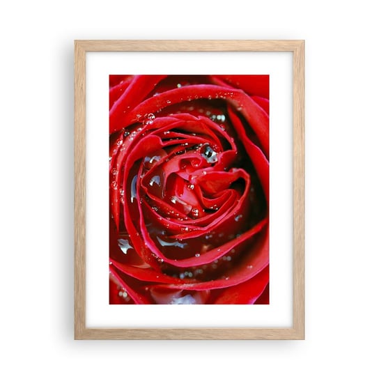 Obraz - Plakat - W kroplach rosy - 30x40cm - Kwiaty Czerwona Róża Miłość - Foto Plakaty na ścianę w ramie jasny dąb - Plakat do Salonu Sypialni ARTTOR ARTTOR