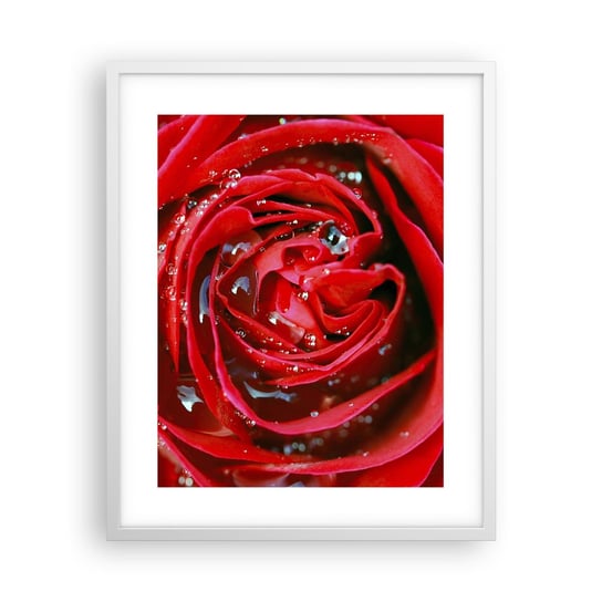 Obraz - Plakat - W kroplach rosy - 40x50cm - Kwiaty Czerwona Róża Miłość - Foto Plakaty w ramie koloru białego do Salonu Sypialni ARTTOR ARTTOR