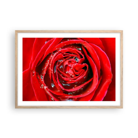 Obraz - Plakat - W kroplach rosy - 70x50cm - Kwiaty Czerwona Róża Miłość - Nowoczesny modny obraz Plakat rama jasny dąb ARTTOR ARTTOR