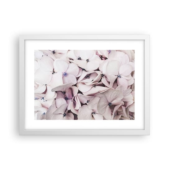 Obraz - Plakat - W powodzi kwiatów - 40x30cm - Kwiaty Subtelny Hortensje - Foto Plakaty na ścianę w ramie białej - Plakat do Salonu Sypialni ARTTOR ARTTOR