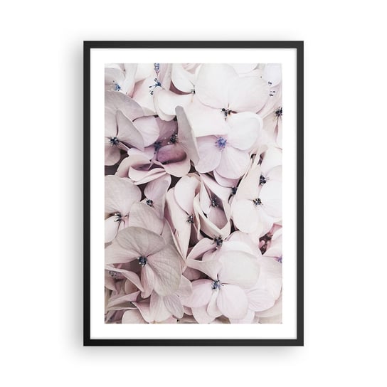 Obraz - Plakat - W powodzi kwiatów - 50x70cm - Kwiaty Subtelny Hortensje - Nowoczesny modny obraz Plakat czarna rama ARTTOR ARTTOR