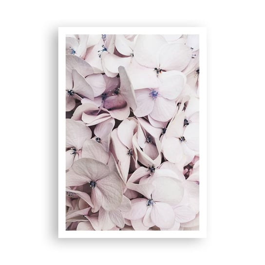 Obraz - Plakat - W powodzi kwiatów - 70x100cm - Kwiaty Subtelny Hortensje - Foto Plakaty bez ramy na ścianę do Salonu Sypialni ARTTOR ARTTOR