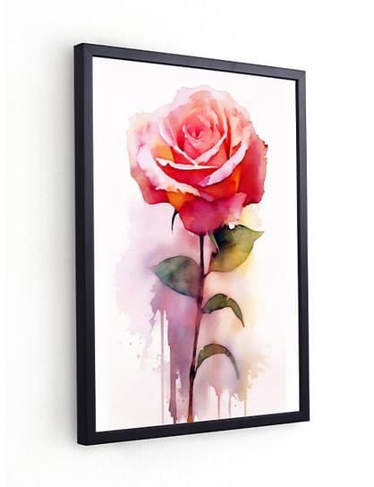 Obraz Plakat W Ramie 30X40 Cm A3 Kwiat, Róża Akwarela Do Salonu Sypialni Czarna Rama Szyba Plexi Antyrama Inna marka