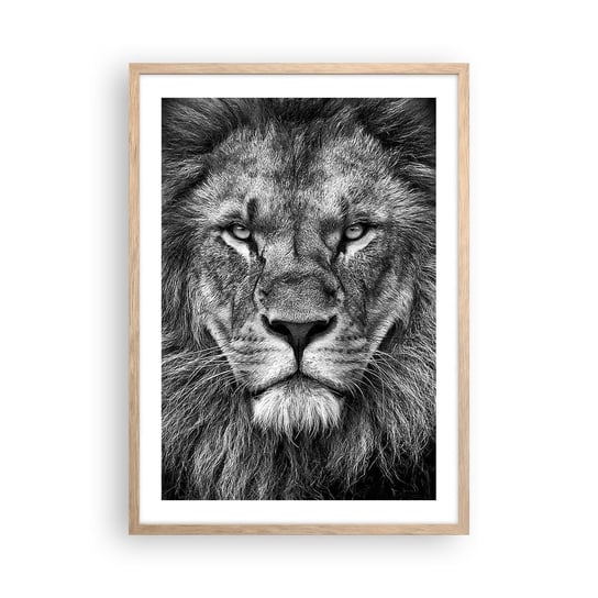 Obraz - Plakat - W stroju koronacyjnym - 50x70cm - Zwierzęta Lew Czarno-Biały - Nowoczesny modny obraz Plakat rama jasny dąb ARTTOR ARTTOR