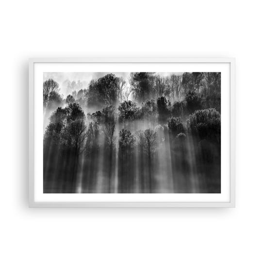 Obraz - Plakat - W strumieniach światła - 70x50cm - Krajobraz Las Czarno-Biały - Nowoczesny modny obraz Plakat rama biała ARTTOR ARTTOR