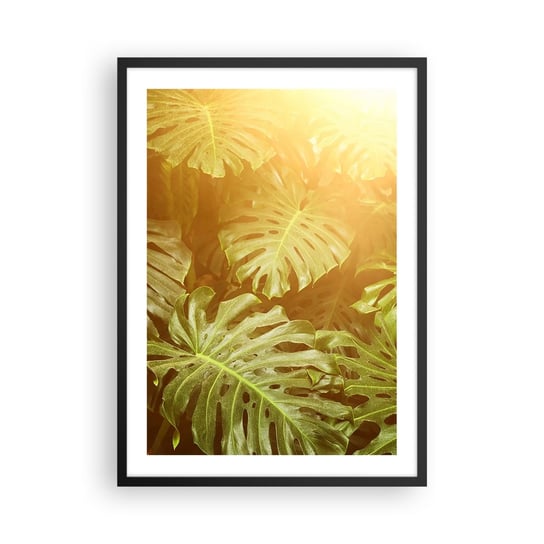 Obraz - Plakat - W zieloność wstąpić… - 50x70cm - Monstera Liść Roślina Tropikalna Dżungla - Nowoczesny modny obraz Plakat czarna rama ARTTOR ARTTOR
