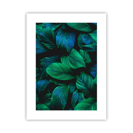 Obraz - Plakat - W zielonym tłumie - 30x40cm - Zielone Liście Roślina Tropikalna Natura - Foto Plakaty na ścianę bez ramy - Plakat do Salonu Sypialni ARTTOR ARTTOR