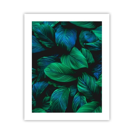 Obraz - Plakat - W zielonym tłumie - 40x50cm - Zielone Liście Roślina Tropikalna Natura - Foto Plakaty bez ramy do Salonu Sypialni ARTTOR ARTTOR