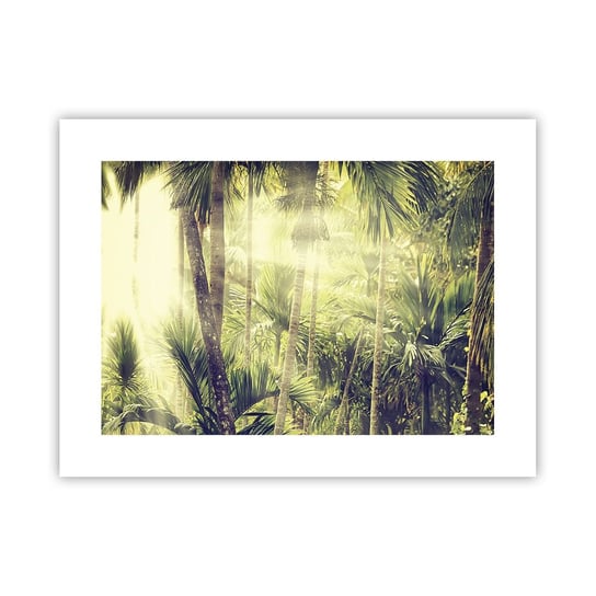 Obraz - Plakat - W zielonym żarze - 40x30cm - Krajobraz Dżungla Las Tropikalny - Foto Plakaty na ścianę bez ramy - Plakat do Salonu Sypialni ARTTOR ARTTOR