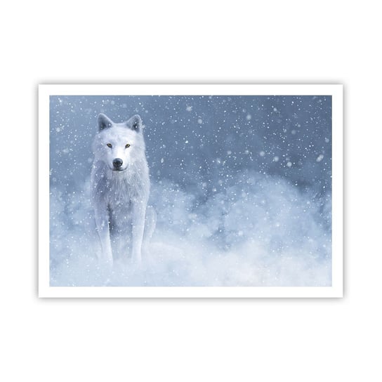 Obraz - Plakat - W zimowym duchu - 100x70cm - Biały Wilk Zwierzęta Zima - Foto Plakaty bez ramy na ścianę do Salonu Sypialni ARTTOR ARTTOR