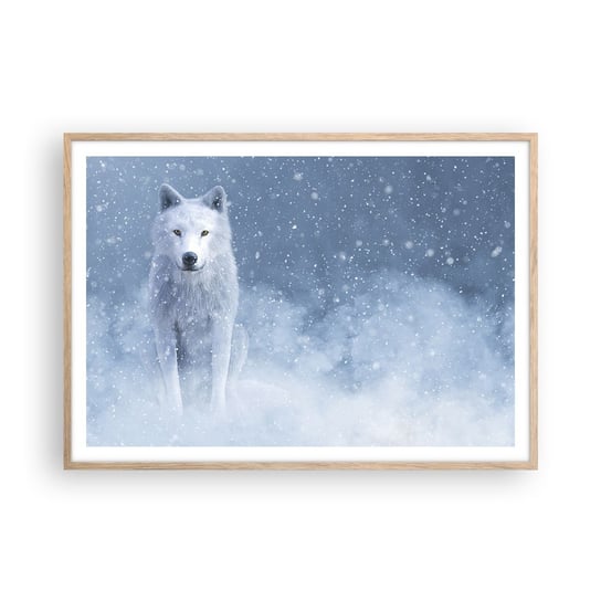 Obraz - Plakat - W zimowym duchu - 100x70cm - Biały Wilk Zwierzęta Zima - Foto Plakaty w ramie koloru jasny dąb do Salonu Sypialni ARTTOR ARTTOR