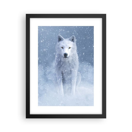 Obraz - Plakat - W zimowym duchu - 30x40cm - Biały Wilk Zwierzęta Zima - Foto Plakaty na ścianę w czarnej ramie - Plakat do Salonu Sypialni ARTTOR ARTTOR