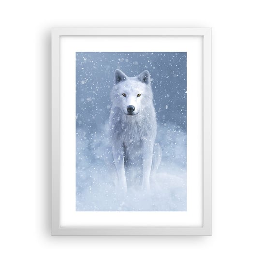 Obraz - Plakat - W zimowym duchu - 30x40cm - Biały Wilk Zwierzęta Zima - Foto Plakaty na ścianę w ramie białej - Plakat do Salonu Sypialni ARTTOR ARTTOR