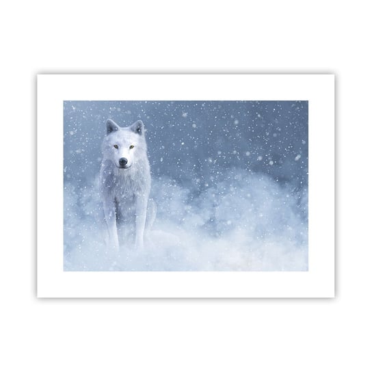 Obraz - Plakat - W zimowym duchu - 40x30cm - Biały Wilk Zwierzęta Zima - Foto Plakaty na ścianę bez ramy - Plakat do Salonu Sypialni ARTTOR ARTTOR