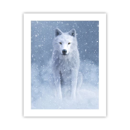 Obraz - Plakat - W zimowym duchu - 40x50cm - Biały Wilk Zwierzęta Zima - Foto Plakaty bez ramy do Salonu Sypialni ARTTOR ARTTOR