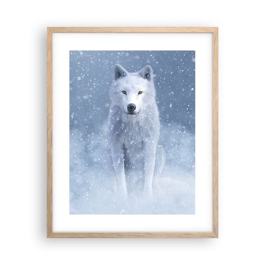 Obraz - Plakat - W zimowym duchu - 40x50cm - Biały Wilk Zwierzęta Zima - Foto Plakaty w ramie koloru jasny dąb do Salonu Sypialni ARTTOR ARTTOR
