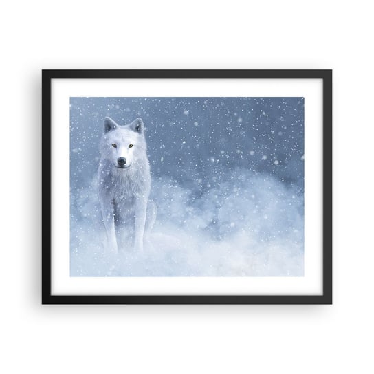 Obraz - Plakat - W zimowym duchu - 50x40cm - Biały Wilk Zwierzęta Zima - Foto Plakaty w ramie koloru czarnego do Salonu Sypialni ARTTOR ARTTOR