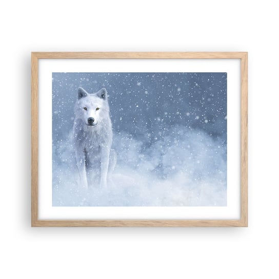 Obraz - Plakat - W zimowym duchu - 50x40cm - Biały Wilk Zwierzęta Zima - Foto Plakaty w ramie koloru jasny dąb do Salonu Sypialni ARTTOR ARTTOR