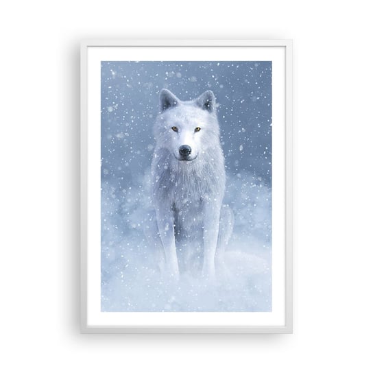 Obraz - Plakat - W zimowym duchu - 50x70cm - Biały Wilk Zwierzęta Zima - Nowoczesny modny obraz Plakat rama biała ARTTOR ARTTOR