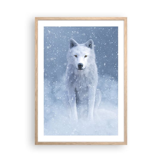 Obraz - Plakat - W zimowym duchu - 50x70cm - Biały Wilk Zwierzęta Zima - Nowoczesny modny obraz Plakat rama jasny dąb ARTTOR ARTTOR
