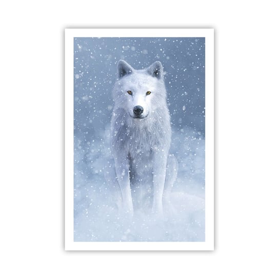 Obraz - Plakat - W zimowym duchu - 61x91cm - Biały Wilk Zwierzęta Zima - Foto Plakaty na ścianę bez ramy - Plakat do Salonu Sypialni ARTTOR ARTTOR