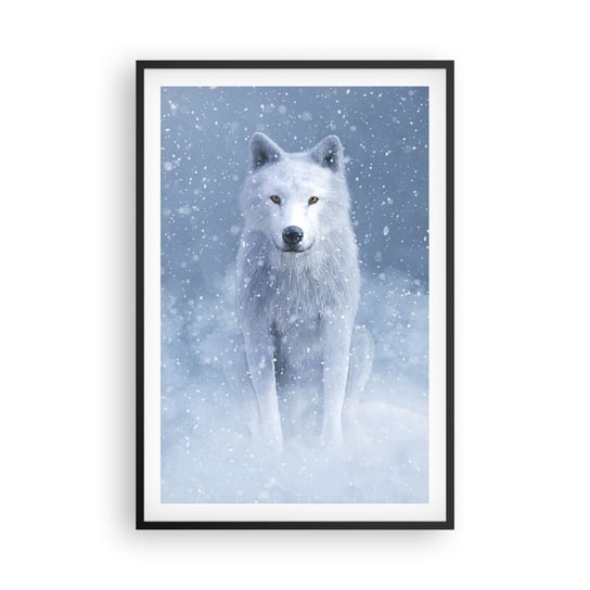Obraz - Plakat - W zimowym duchu - 61x91cm - Biały Wilk Zwierzęta Zima - Foto Plakaty na ścianę w czarnej ramie - Plakat do Salonu Sypialni ARTTOR ARTTOR
