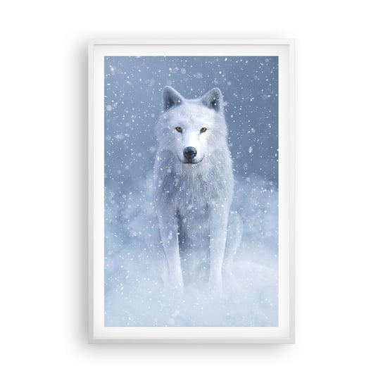 Obraz - Plakat - W zimowym duchu - 61x91cm - Biały Wilk Zwierzęta Zima - Foto Plakaty na ścianę w ramie białej - Plakat do Salonu Sypialni ARTTOR ARTTOR