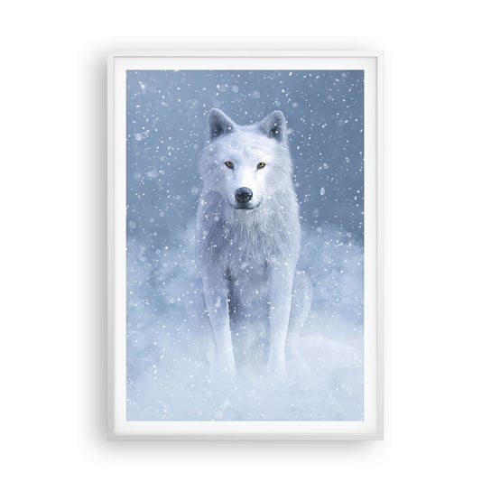 Obraz - Plakat - W zimowym duchu - 70x100cm - Biały Wilk Zwierzęta Zima - Foto Plakaty w ramie koloru białego do Salonu Sypialni ARTTOR ARTTOR