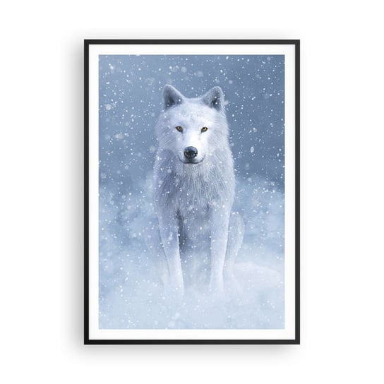 Obraz - Plakat - W zimowym duchu - 70x100cm - Biały Wilk Zwierzęta Zima - Foto Plakaty w ramie koloru czarnego do Salonu Sypialni ARTTOR ARTTOR