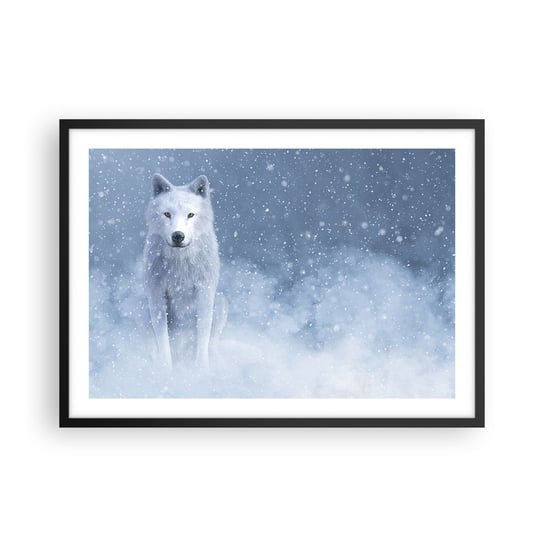 Obraz - Plakat - W zimowym duchu - 70x50cm - Biały Wilk Zwierzęta Zima - Nowoczesny modny obraz Plakat czarna rama ARTTOR ARTTOR