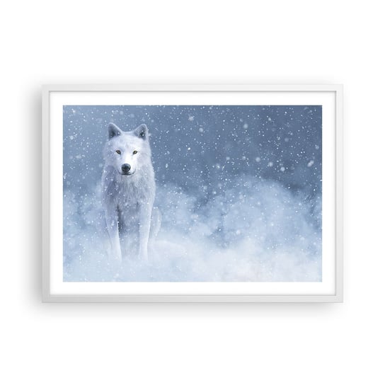 Obraz - Plakat - W zimowym duchu - 70x50cm - Biały Wilk Zwierzęta Zima - Nowoczesny modny obraz Plakat rama biała ARTTOR ARTTOR