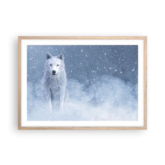 Obraz - Plakat - W zimowym duchu - 70x50cm - Biały Wilk Zwierzęta Zima - Nowoczesny modny obraz Plakat rama jasny dąb ARTTOR ARTTOR