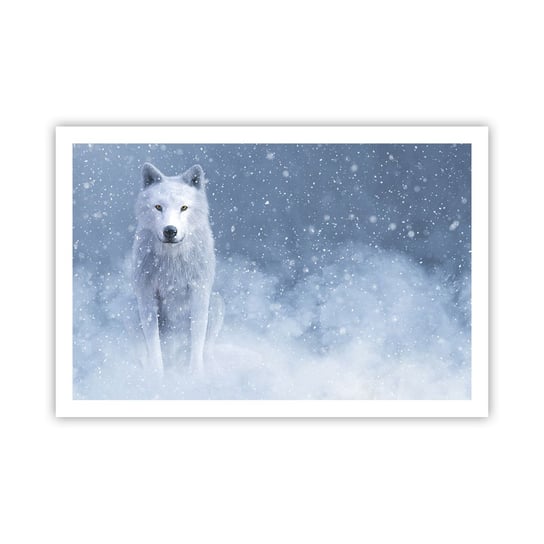 Obraz - Plakat - W zimowym duchu - 91x61cm - Biały Wilk Zwierzęta Zima - Foto Plakaty na ścianę bez ramy - Plakat do Salonu Sypialni ARTTOR ARTTOR