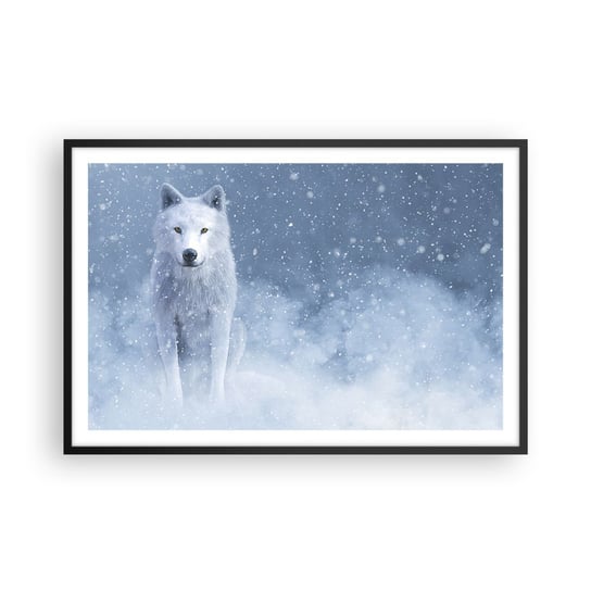 Obraz - Plakat - W zimowym duchu - 91x61cm - Biały Wilk Zwierzęta Zima - Foto Plakaty na ścianę w czarnej ramie - Plakat do Salonu Sypialni ARTTOR ARTTOR