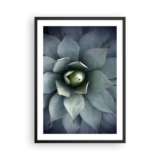Obraz - Plakat - Wabi i przestrzega - 50x70cm - Kwiat Agawy Agawa Egzotyka - Nowoczesny modny obraz Plakat czarna rama ARTTOR ARTTOR