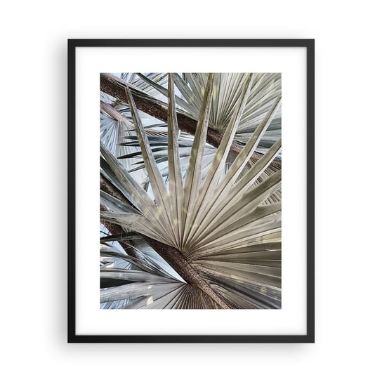 Obraz - Plakat - Wachlarze w tropikach - 40x50cm - Liść Palmowy Palma Kokosowa Natura - Foto Plakaty w ramie koloru czarnego do Salonu Sypialni ARTTOR ARTTOR