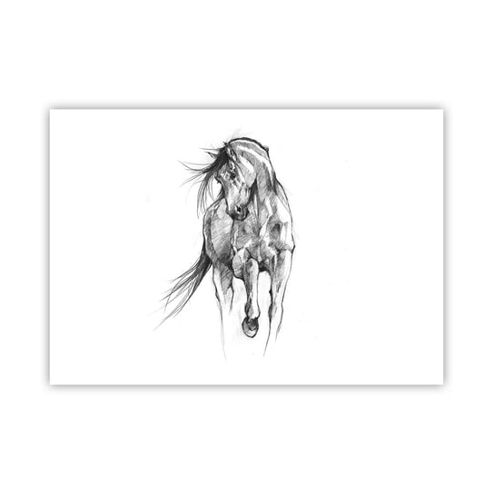Obraz - Plakat - We wdzięcznym kłusie - 100x70cm - Koń Grafika Zwierzęta - Foto Plakaty bez ramy na ścianę do Salonu Sypialni ARTTOR ARTTOR
