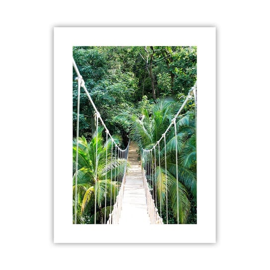 Obraz - Plakat - Welcome to the jungle! - 30x40cm - Krajobraz Dżungla Honduras - Foto Plakaty na ścianę bez ramy - Plakat do Salonu Sypialni ARTTOR ARTTOR
