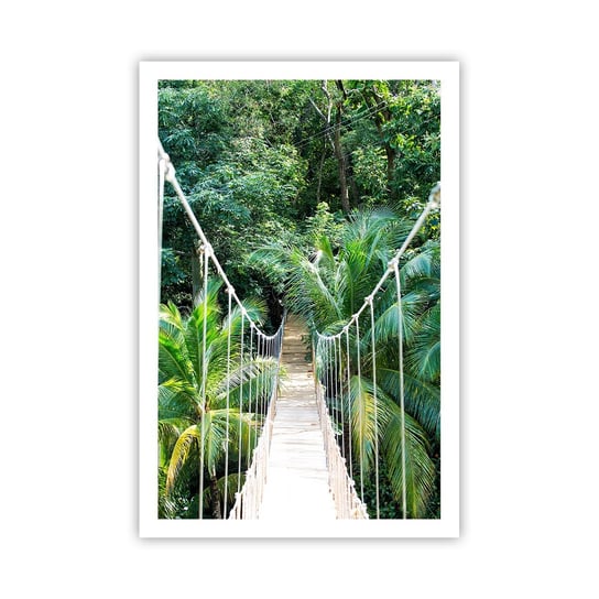 Obraz - Plakat - Welcome to the jungle! - 61x91cm - Krajobraz Dżungla Honduras - Foto Plakaty na ścianę bez ramy - Plakat do Salonu Sypialni ARTTOR ARTTOR