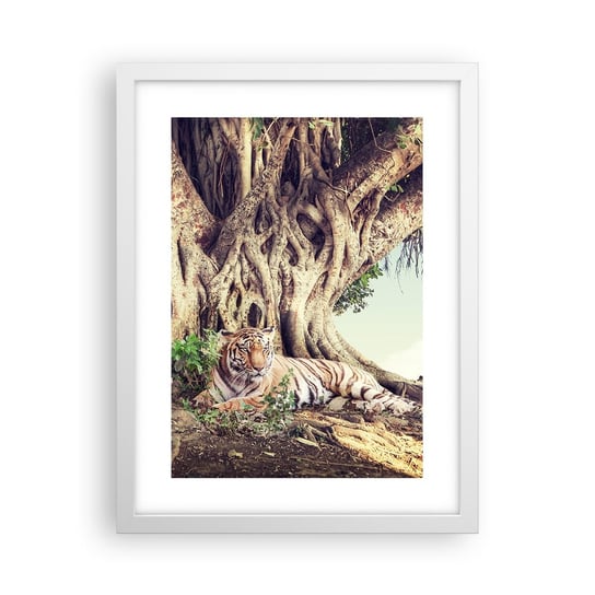 Obraz - Plakat - Widok z Księgi Rodzaju - 30x40cm - Tygrys Bengalski Indie Krajobraz - Foto Plakaty na ścianę w ramie białej - Plakat do Salonu Sypialni ARTTOR ARTTOR
