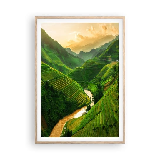 Obraz - Plakat - Wietnamska dolina - 70x100cm - Pola Ryżowe Azja Krajobraz - Foto Plakaty w ramie koloru jasny dąb do Salonu Sypialni ARTTOR ARTTOR