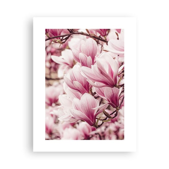 Obraz - Plakat - Wiosna jest różowa - 30x40cm - Magnolia Kwiat Jasny - Foto Plakaty na ścianę bez ramy - Plakat do Salonu Sypialni ARTTOR ARTTOR