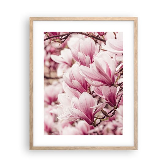 Obraz - Plakat - Wiosna jest różowa - 40x50cm - Magnolia Kwiat Jasny - Foto Plakaty w ramie koloru jasny dąb do Salonu Sypialni ARTTOR ARTTOR