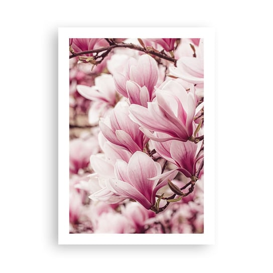 Obraz - Plakat - Wiosna jest różowa - 50x70cm - Magnolia Kwiat Jasny - Nowoczesny modny obraz Plakat bez ramy do Salonu Sypialni ARTTOR ARTTOR