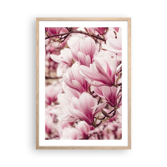 Obraz - Plakat - Wiosna jest różowa - 50x70cm - Magnolia Kwiat Jasny - Nowoczesny modny obraz Plakat rama jasny dąb ARTTOR ARTTOR