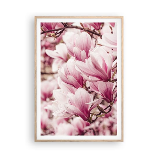 Obraz - Plakat - Wiosna jest różowa - 70x100cm - Magnolia Kwiat Jasny - Foto Plakaty w ramie koloru jasny dąb do Salonu Sypialni ARTTOR ARTTOR