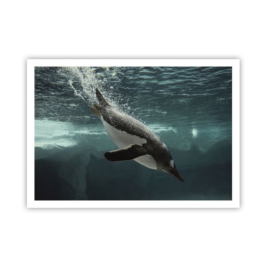 Obraz - Plakat - Witaj w moim świecie - 100x70cm - Pingwin Zwierzęta Natura - Foto Plakaty bez ramy na ścianę do Salonu Sypialni ARTTOR ARTTOR