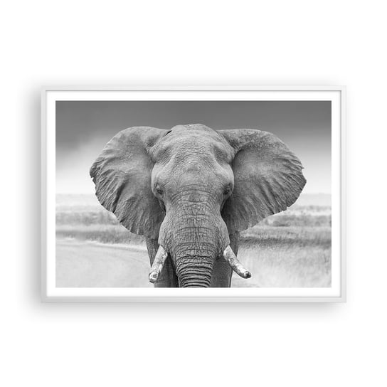 Obraz - Plakat - Witaj w moim świecie - 100x70cm - Słoń Afryka Zwierzęta - Foto Plakaty w ramie koloru białego do Salonu Sypialni ARTTOR ARTTOR