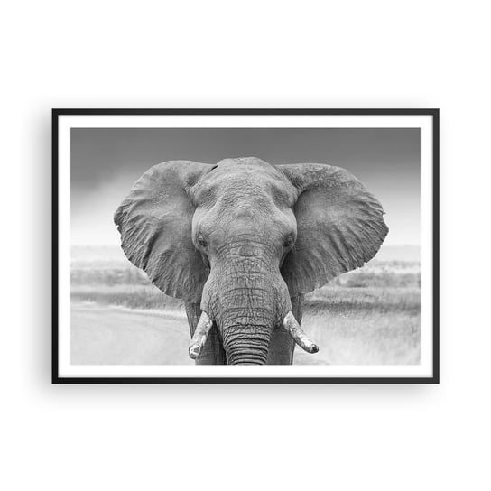 Obraz - Plakat - Witaj w moim świecie - 100x70cm - Słoń Afryka Zwierzęta - Foto Plakaty w ramie koloru czarnego do Salonu Sypialni ARTTOR ARTTOR