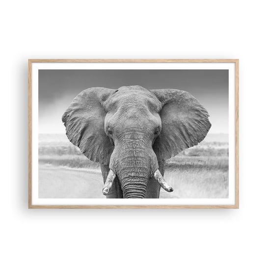 Obraz - Plakat - Witaj w moim świecie - 100x70cm - Słoń Afryka Zwierzęta - Foto Plakaty w ramie koloru jasny dąb do Salonu Sypialni ARTTOR ARTTOR